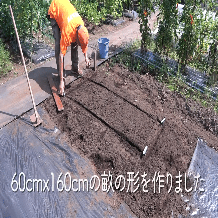 家庭菜園 秋冬野菜栽培のための高畝の立て方をご紹介 井上寅雄農園 井上隆太朗 Note