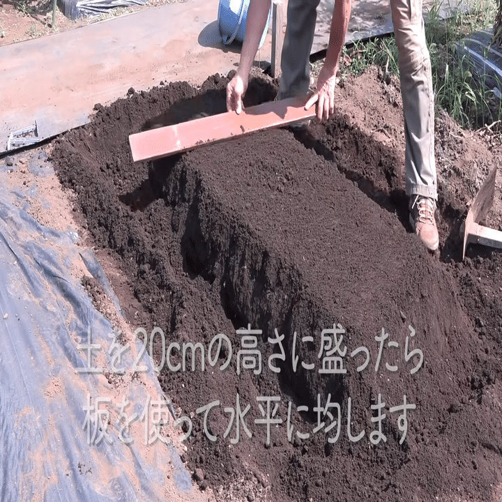 家庭菜園 秋冬野菜栽培のための高畝の立て方をご紹介 井上寅雄農園 井上隆太朗 Note