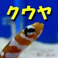 くろがねクウヤ