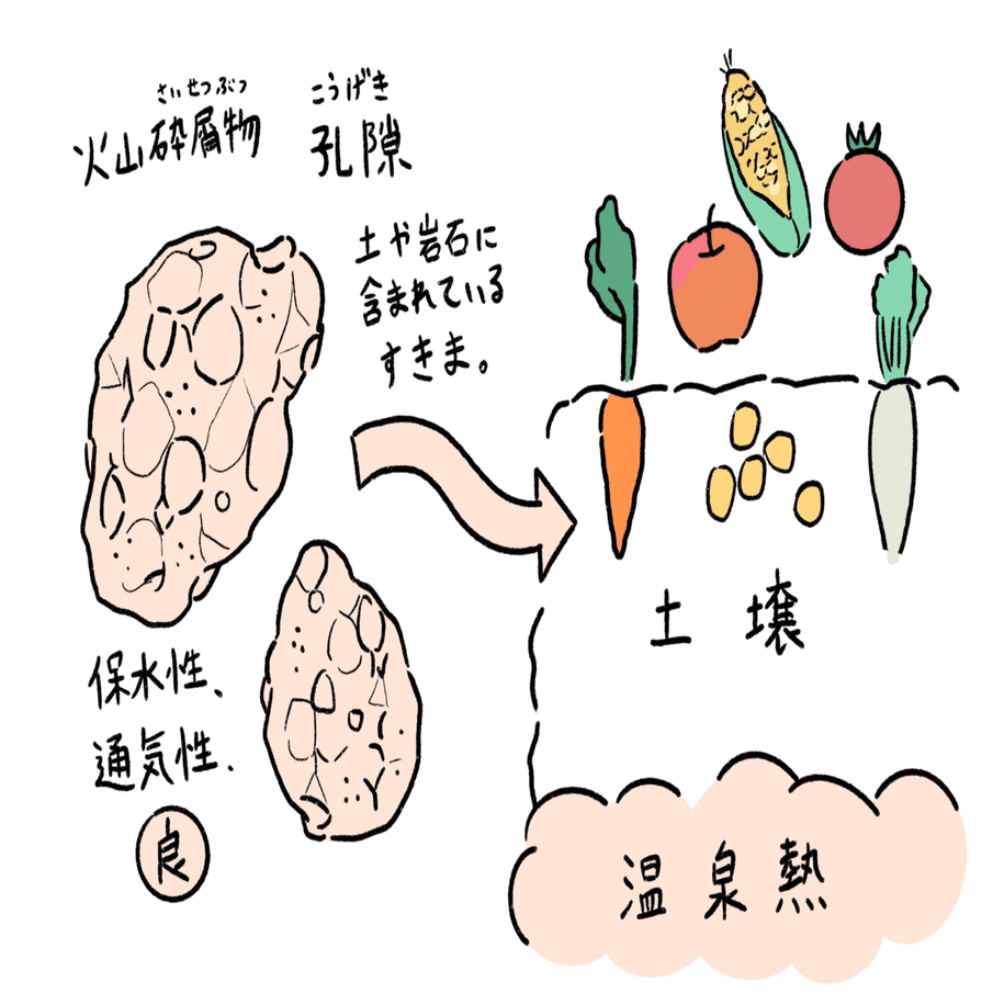 中間発表 鳳聖 Note