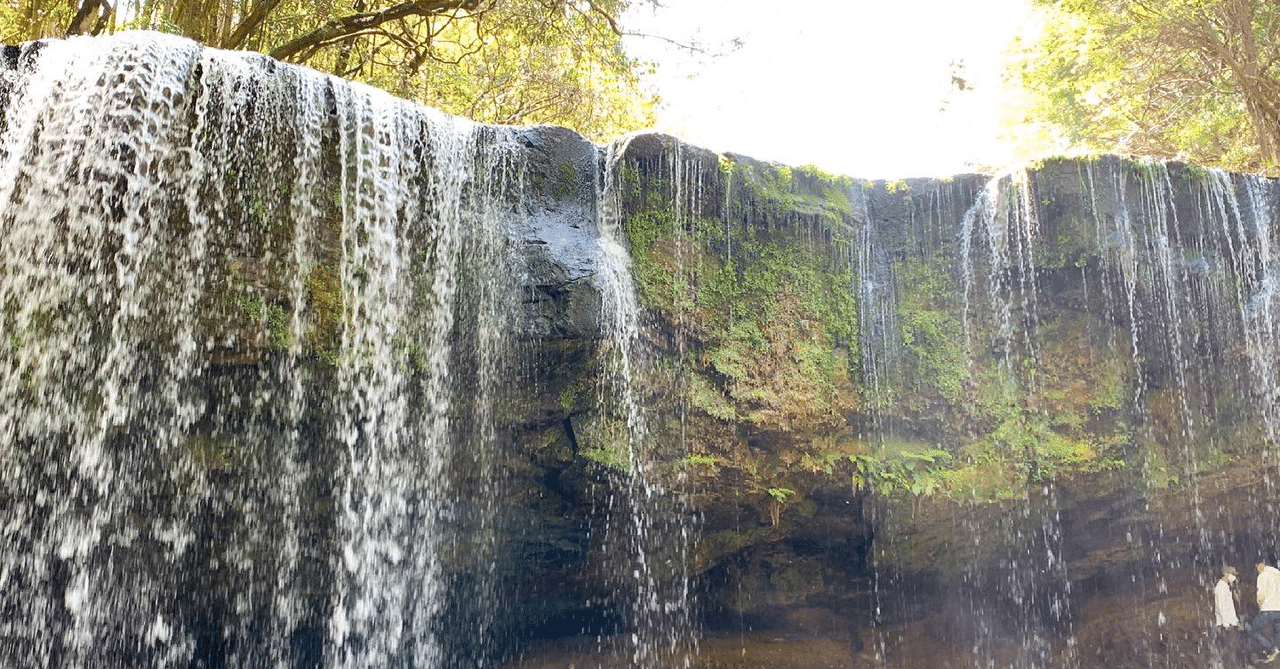 ボサ・ノヴァザ・ポエマ5。ポール・ウィンター&カルロス・リラ『ザ・サウンド・オブ・イパネマ』