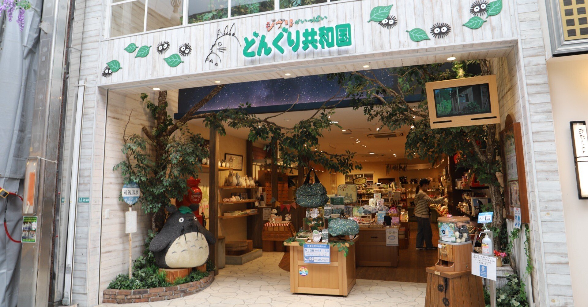 どんぐり共和国｜愛媛マンダリンパイレーツ[公式]