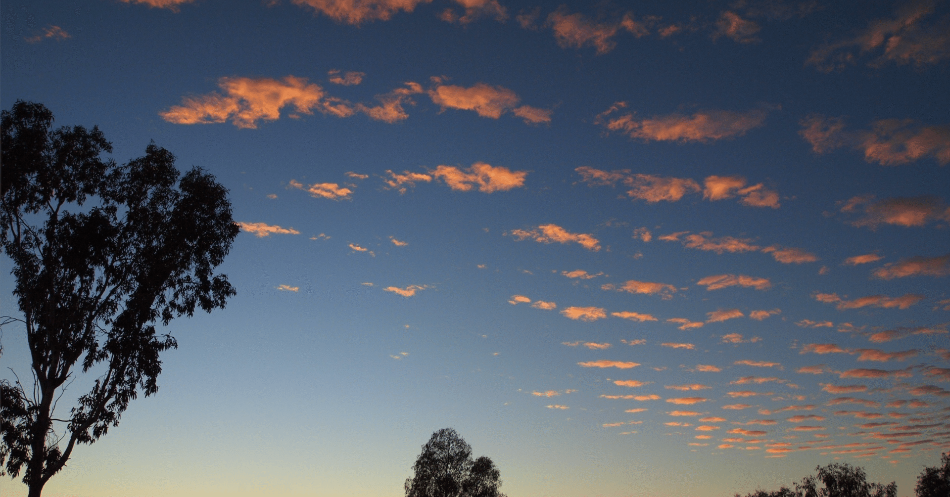 22年最新 ファッションを卒論のテーマにする方法 論文 Note 22年最新 ファッションを卒論のテーマにする方法 論文 Note