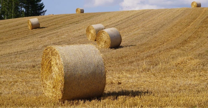 ふらの観光協会 公式noteの22年7月のノート Note