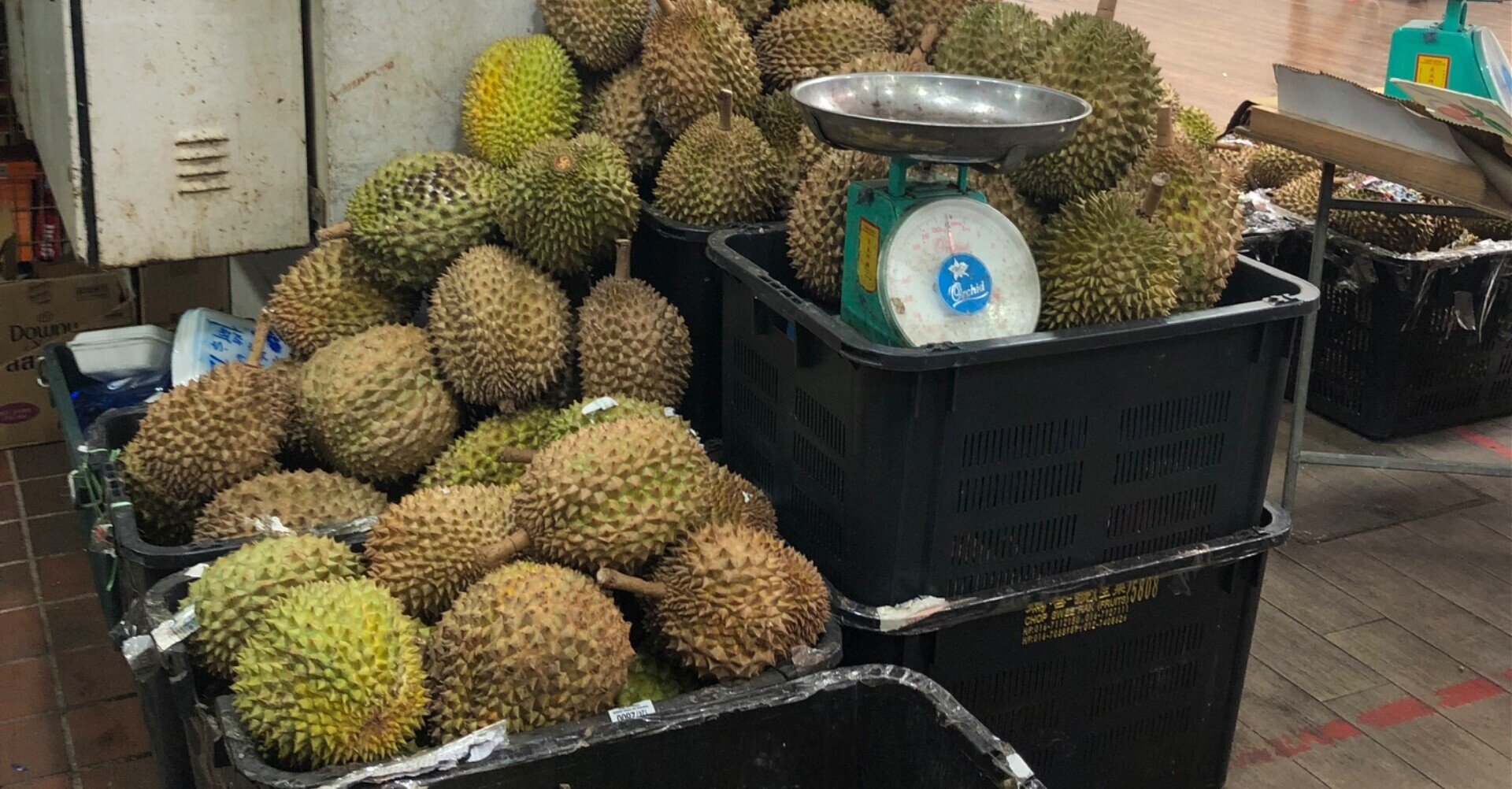 シンガポール滞在記 果物の王様ドリアン 武田 信子 Nobuko Takeda Note シンガポール滞在記 果物の王様ドリアン 武田 信子 Nobuko Takeda Note