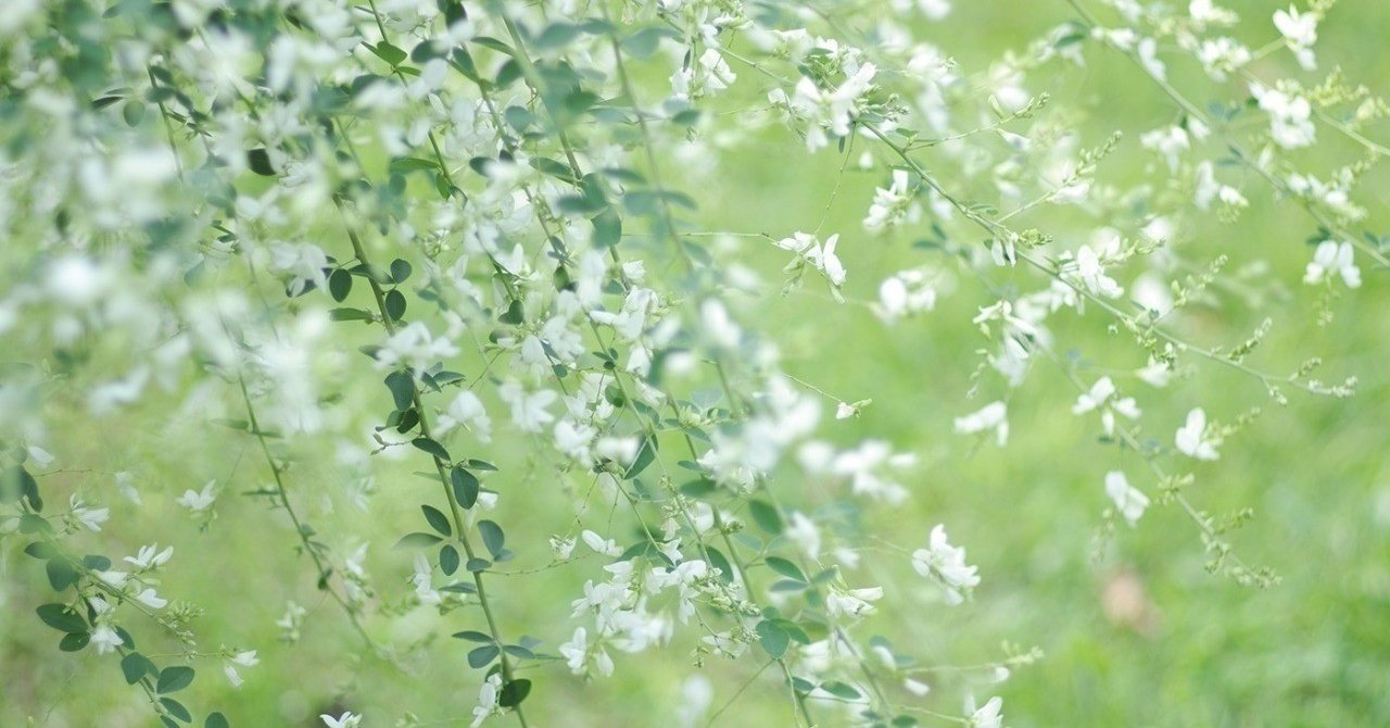 亡くなった友人の気持ちを想像しても その想像が的はずれかもしれないこと 吉玉サキ Note 亡くなった友人の気持ちを想像しても その想像が的はずれかもしれないこと 吉玉サキ Note