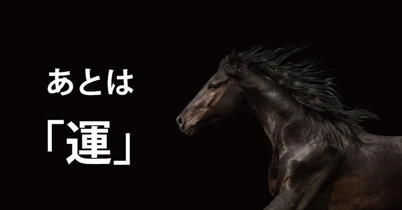 11/04（日）　競馬新聞　あとは「運」