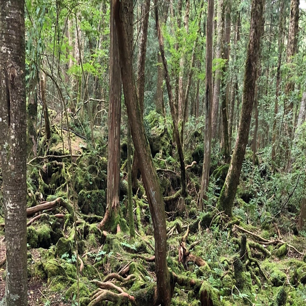 怖いの先を見にいこう はじめてことはちゃんと怖がる 楽しく遊ぶ Ayako 想 遊 共 育ラボ Note