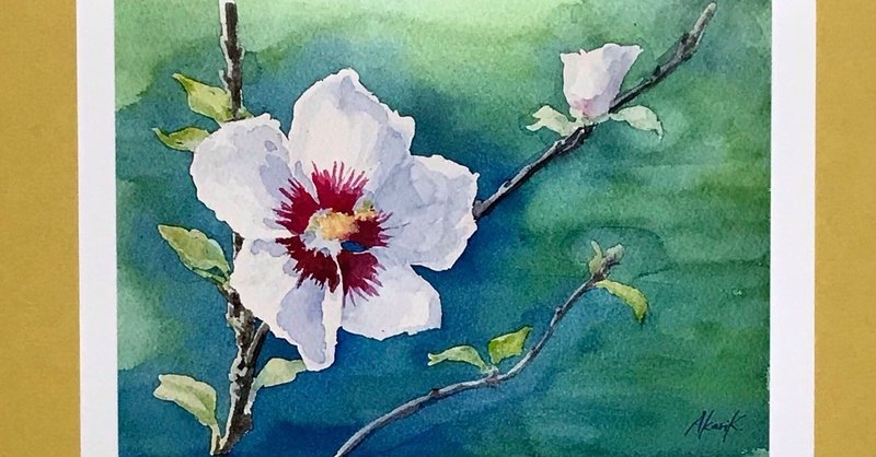 透明水彩で描いたお花の絵のポストカードの販売を開始しました たからにゃ イラスト Note 透明水彩で描いたお花の絵のポストカードの販売を開始しました たからにゃ イラスト Note