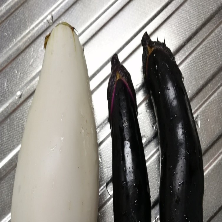 茄子🍆三昧｜惠