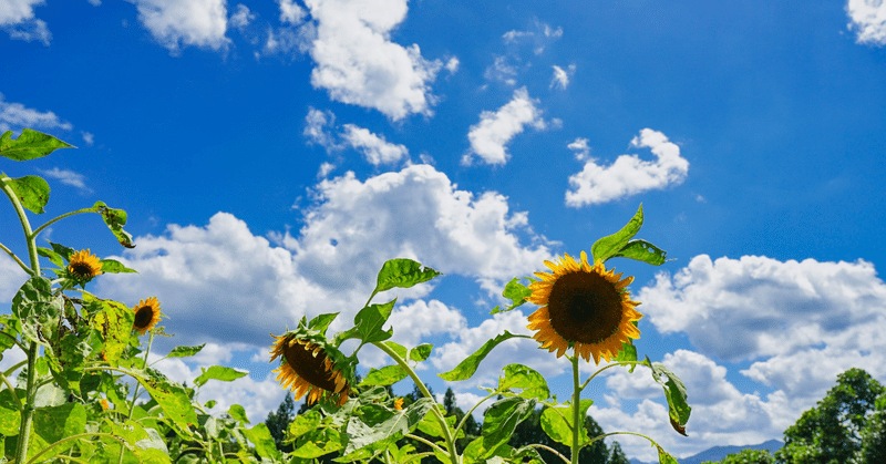 第7波とともに始まった夏休み