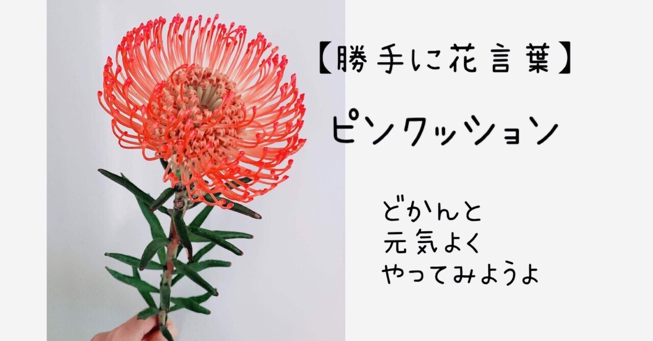 勝手に花言葉 ピンクッション みっけ Note