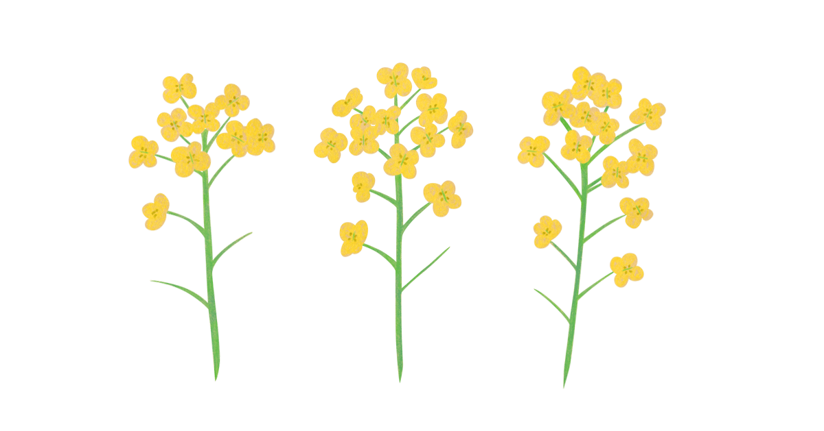 失恋から立ち直った3つのきっかけ 華麗さん Note