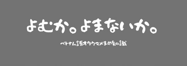 Ly Mỹ ベトナム語オタク Otaku Tiếng Việt Note