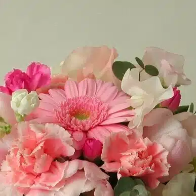 春～と共に🌸　(  はる  と呼んでください😊)