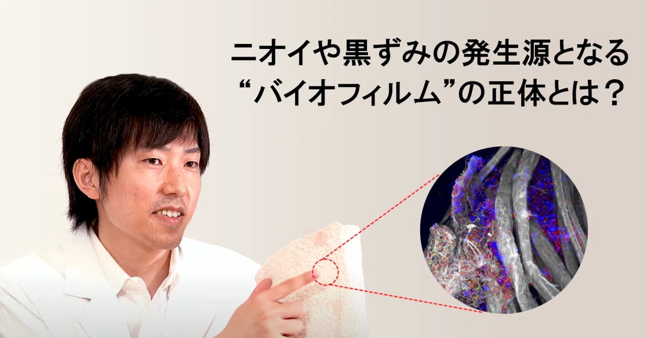 洗たく悩みの原因は？ニオイや黒ずみの発生源となる手強い“バイオ