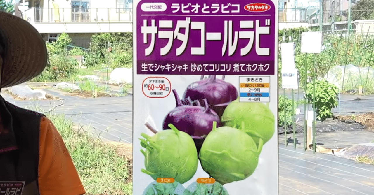 家庭菜園 9月栽培におすすめの秋冬野菜をご紹介 井上寅雄農園 井上隆太朗 Note