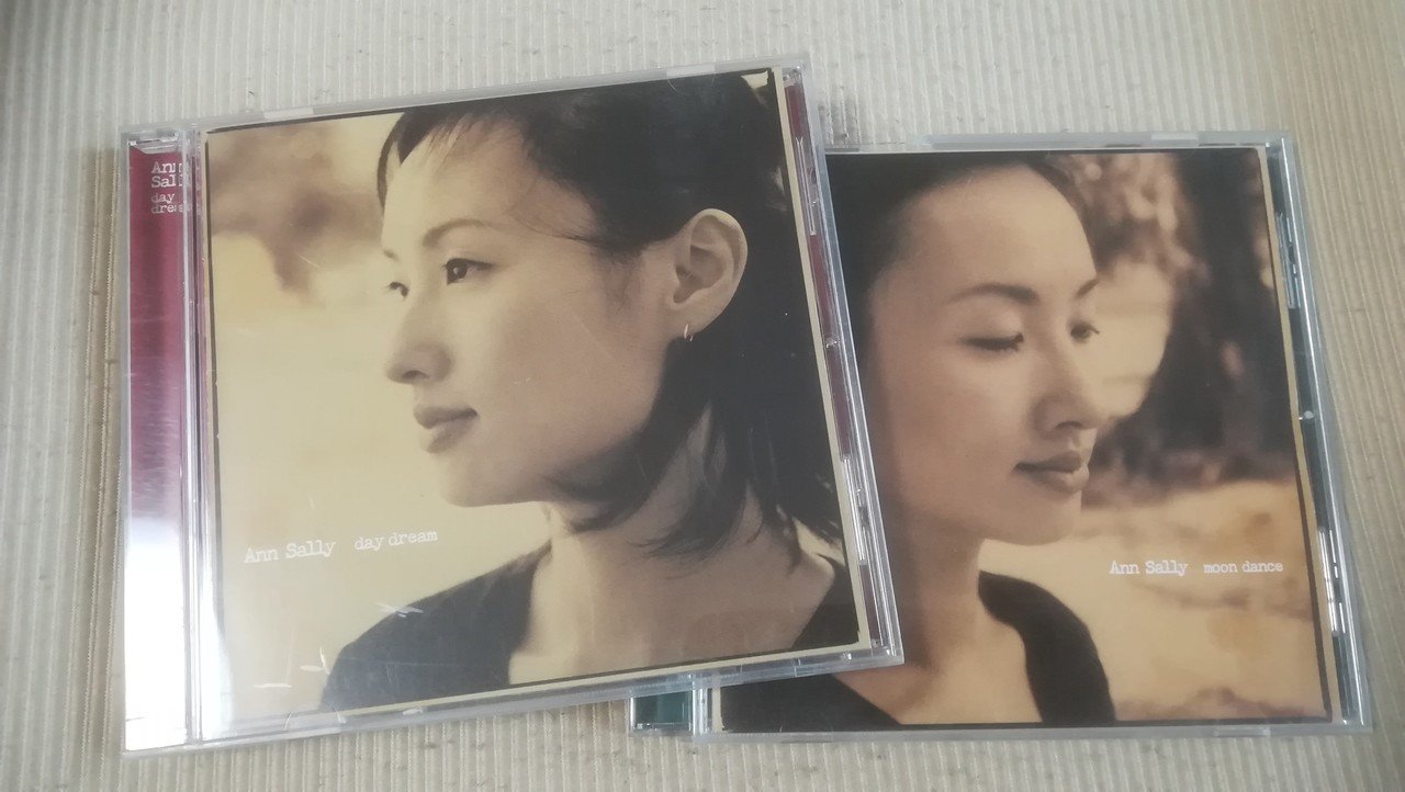 Ann Sallyとの「2度目」の再会｜高井宏章