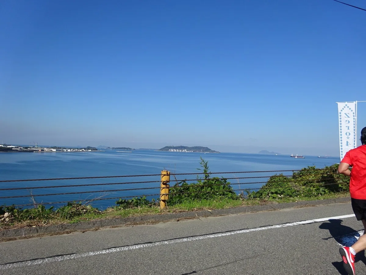 画像15