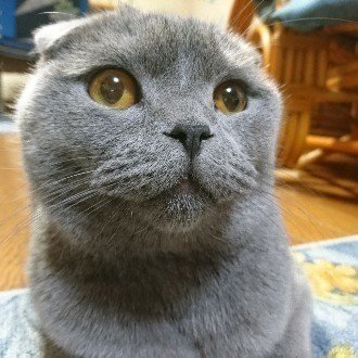 ローソンの炭火焼きサラダチキンの柚子胡椒味 超美味い なゆか Note