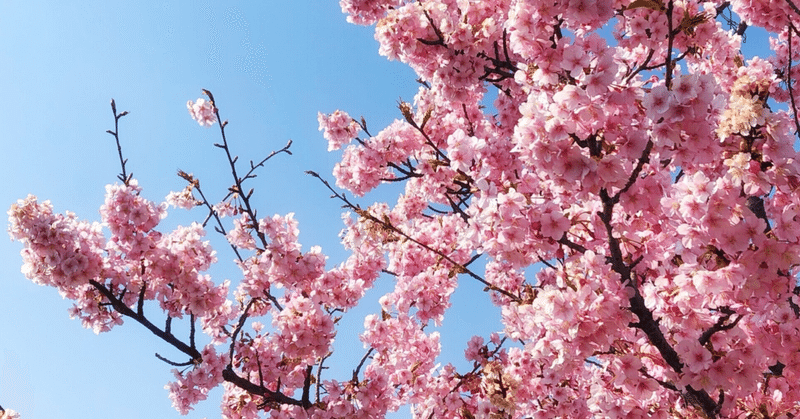 【小説】桜の聲