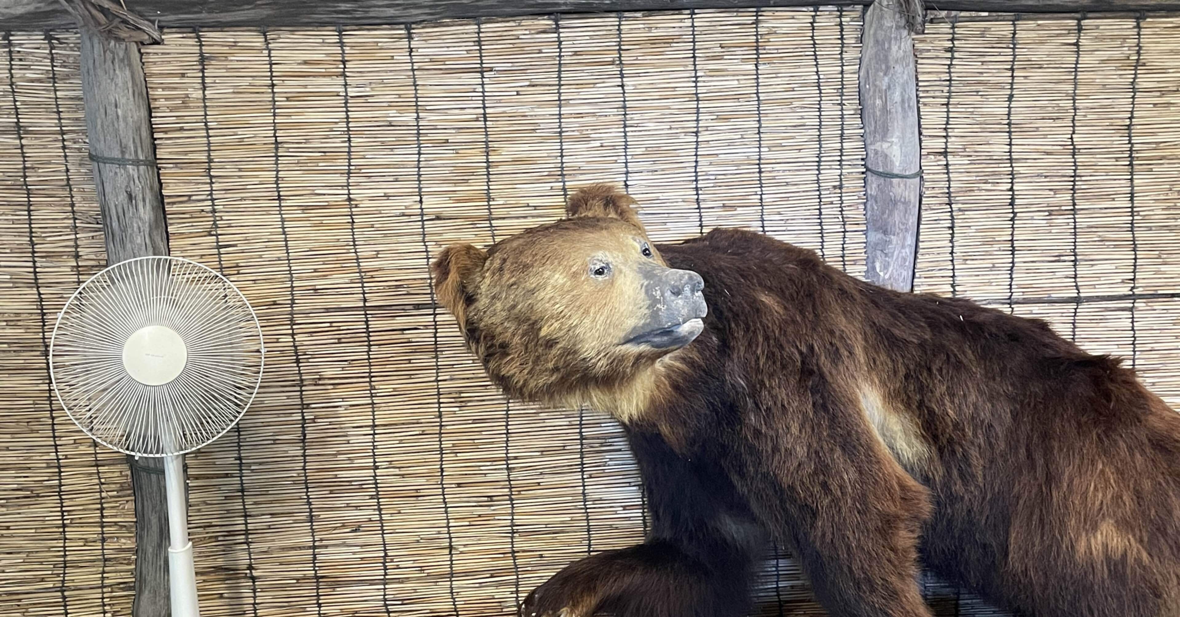 北海道クマ旅 03 】 クマ、だけじゃない。博物館もいいんだ、クマ牧場