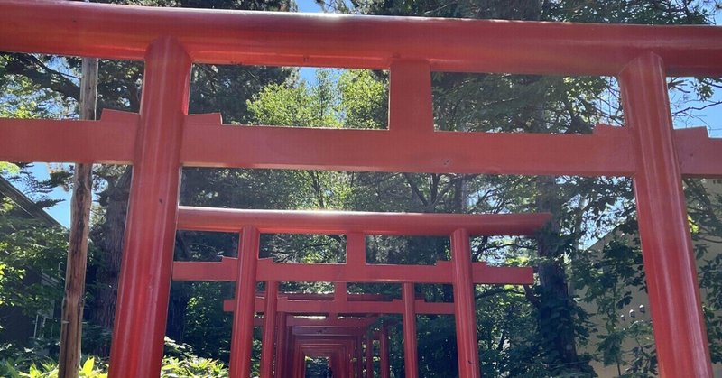 幾重にも連なる朱色の鳥居⛩札幌伏見稲荷神社さん✨