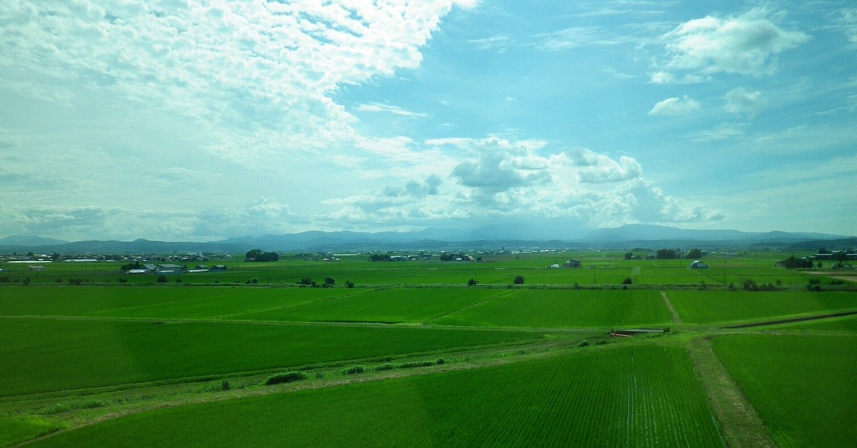 沿岸バス バス停 丸板 苫前高校 木製 北海道 沿岸バス バス停 丸板 苫前高校 木製 北海道 - メルカリ