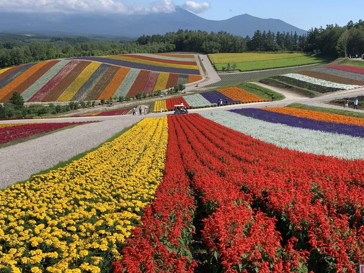 北海道に15年間通うわたしが厳選した 美瑛 富良野 で絶対行きたい3つの場所 塩辛いか乃 当たり前を疑うアラフィフ主婦ライター Note 北海道に15年間通うわたしが厳選した 美瑛 富良野 で絶対行きたい3つの場所 塩辛いか乃 当たり前を疑うアラフィフ主婦ライター Note