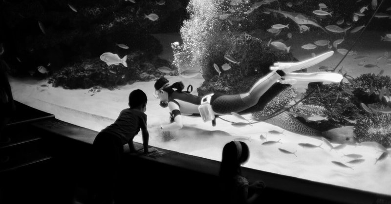 Leica M10-Pでサンシャイン水族館を撮ってきた