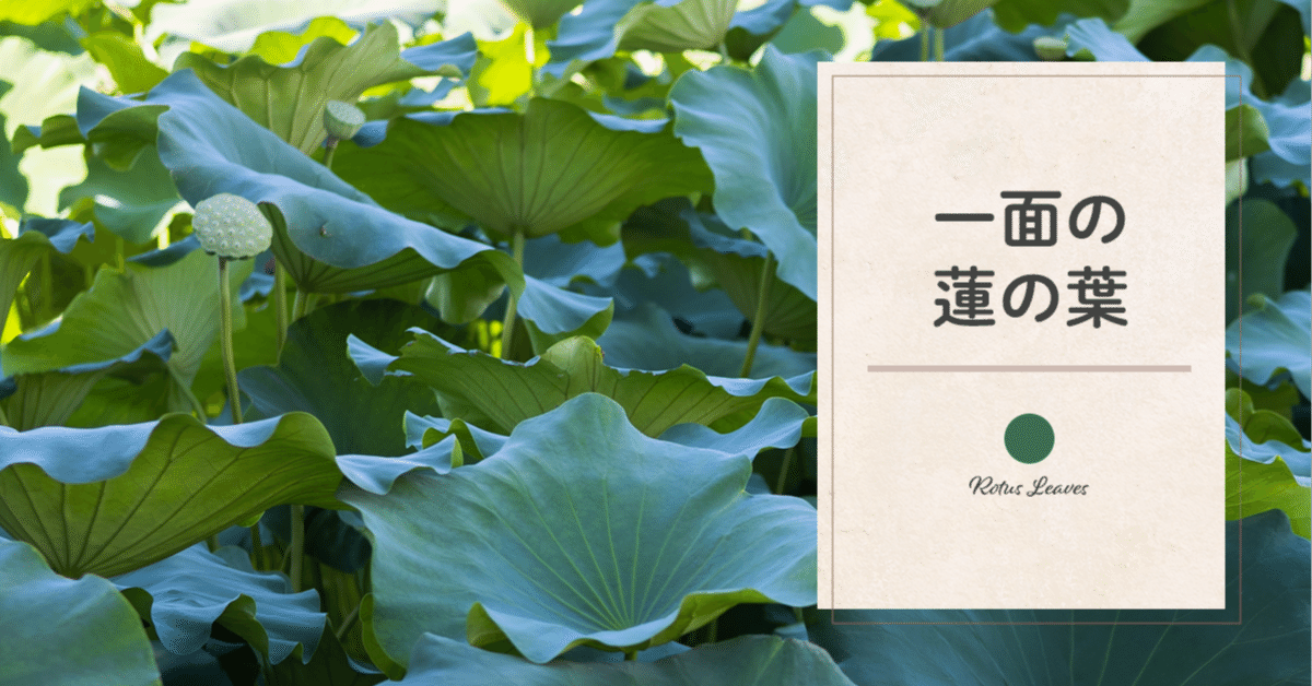 一面の蓮の葉｜藤田さんちの色彩事情 - Kei's Factory