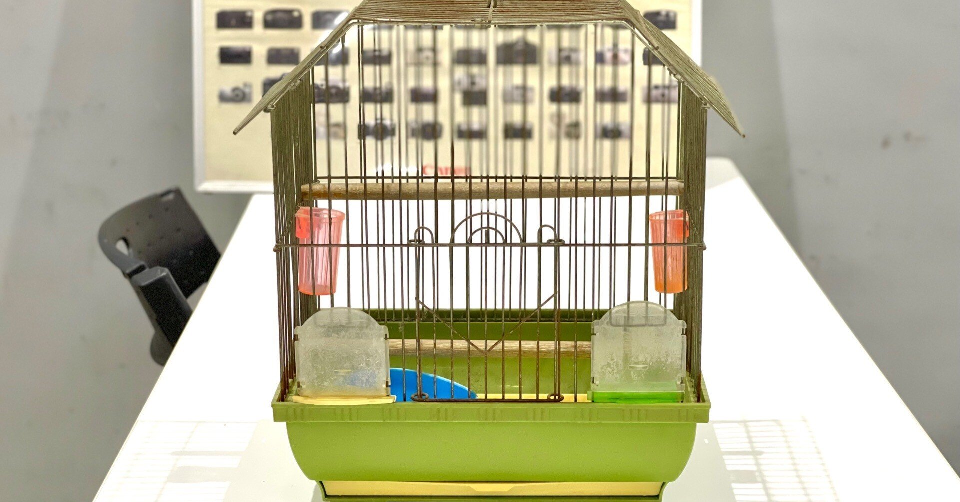 骨董市で鳥籠を買った話｜中村ナツ子