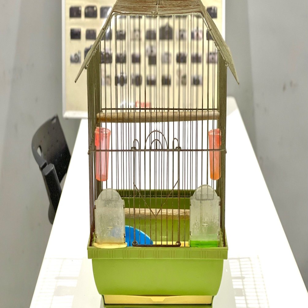 骨董市で鳥籠を買った話｜中村ナツ子