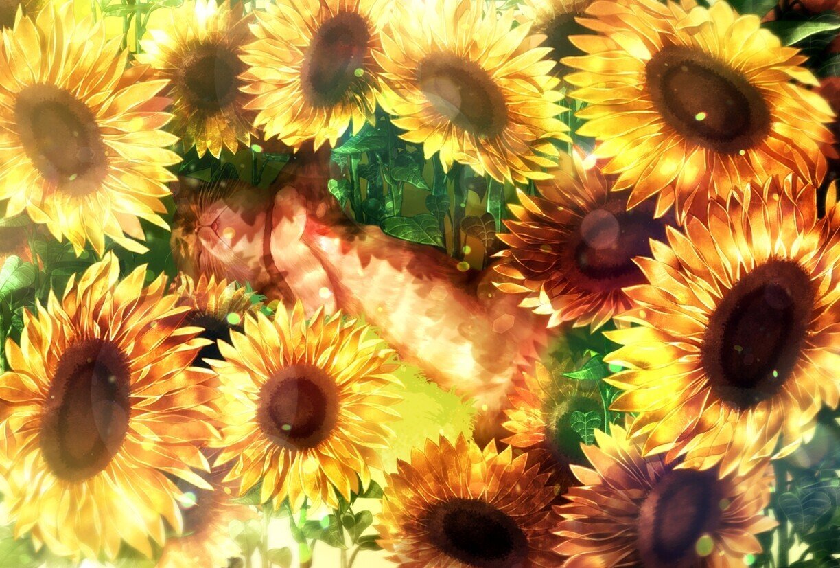 イラスト ひだまり Theo And Aili Note イラスト ひだまり Theo And Aili Note