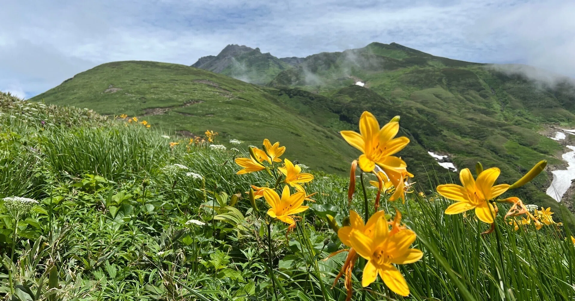 今シーズン初の鳥海山で色とりどりのお花畑を満喫してきた。｜さとう
