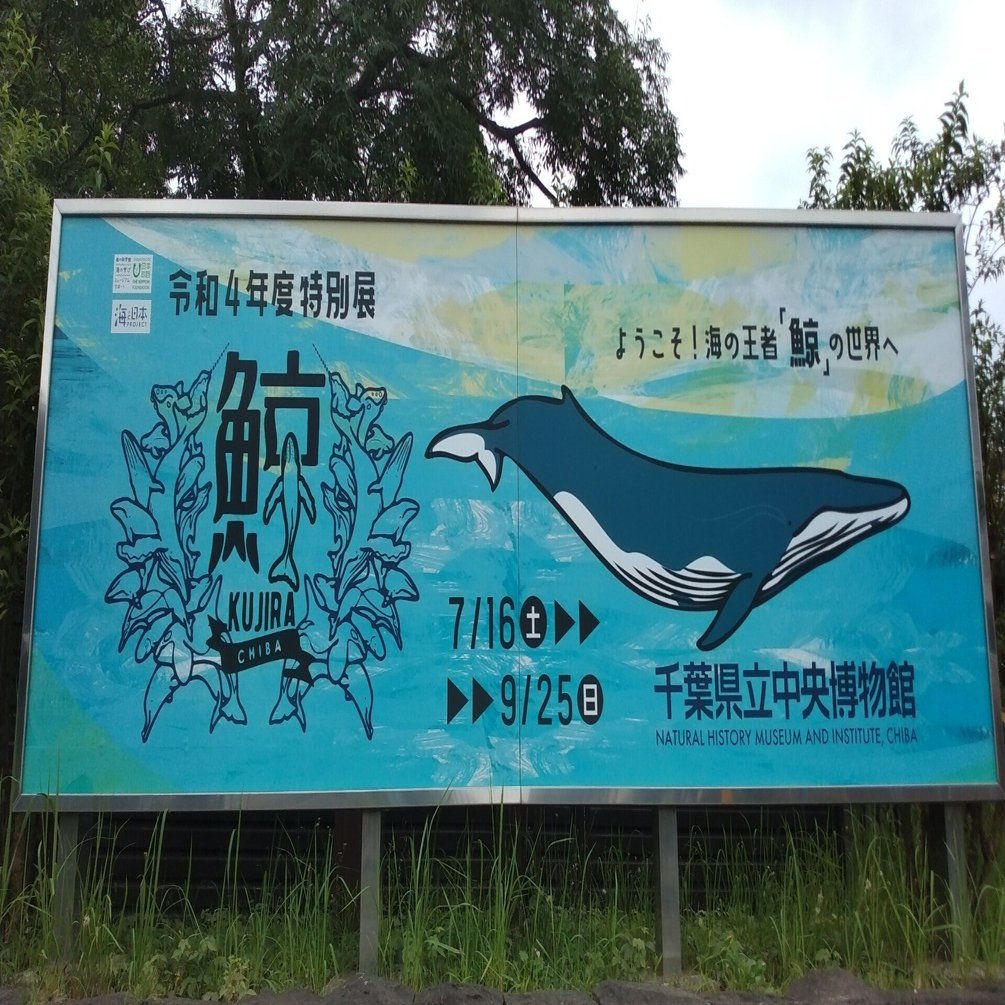 希少「中国聖獸 白澤(ハクタク)」置物内藤記念資料館 希少「中国聖獸 白澤(ハクタク)」置物内藤記念資料館 中国白磁賢人の