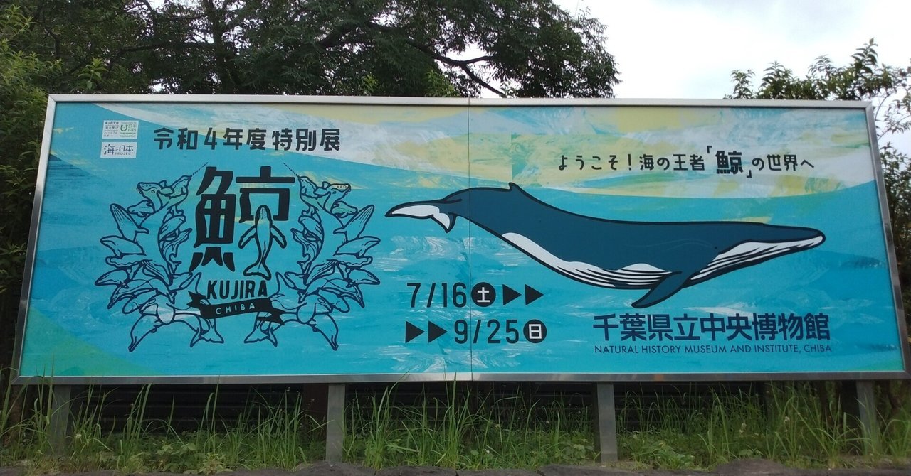 24758円 【中古】 水族館のクジラ博士 海獣の友だち中島将行