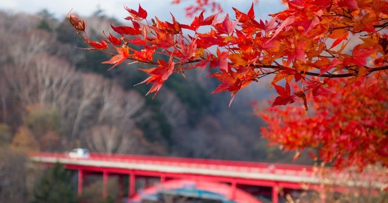 いざ紅葉の海へ 八ヶ岳 清里高原 十石峠 国道299号 サイクリング 前編 Oage Note いざ紅葉の海へ 八ヶ岳 清里高原 十石峠 国道299号 サイクリング 前編 Oage Note