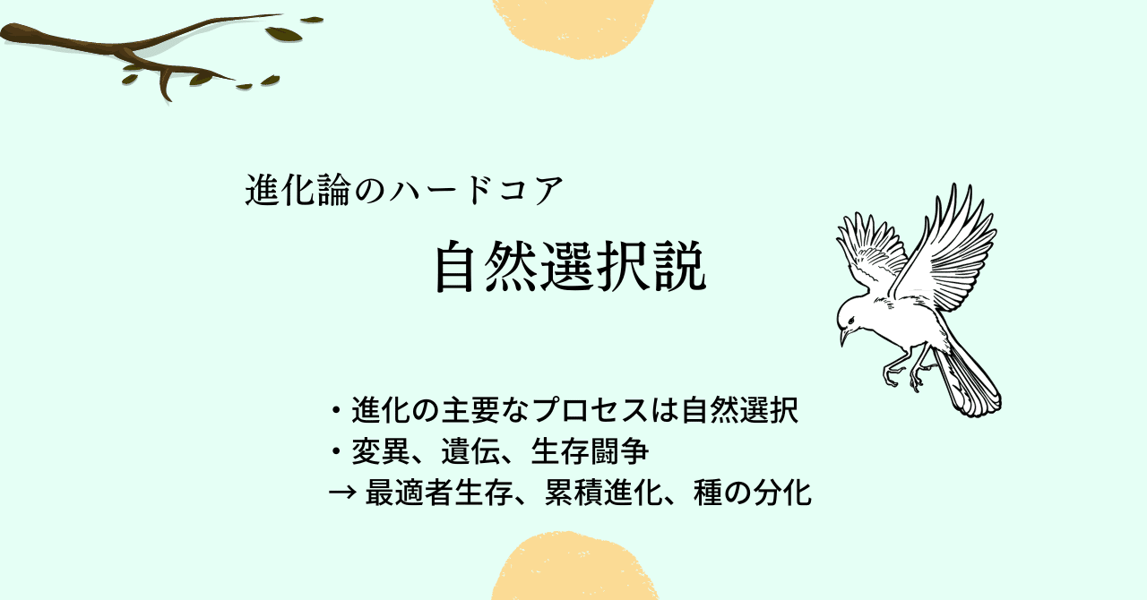 進化論のハードコア 自然選択説【進化論】｜手記千号