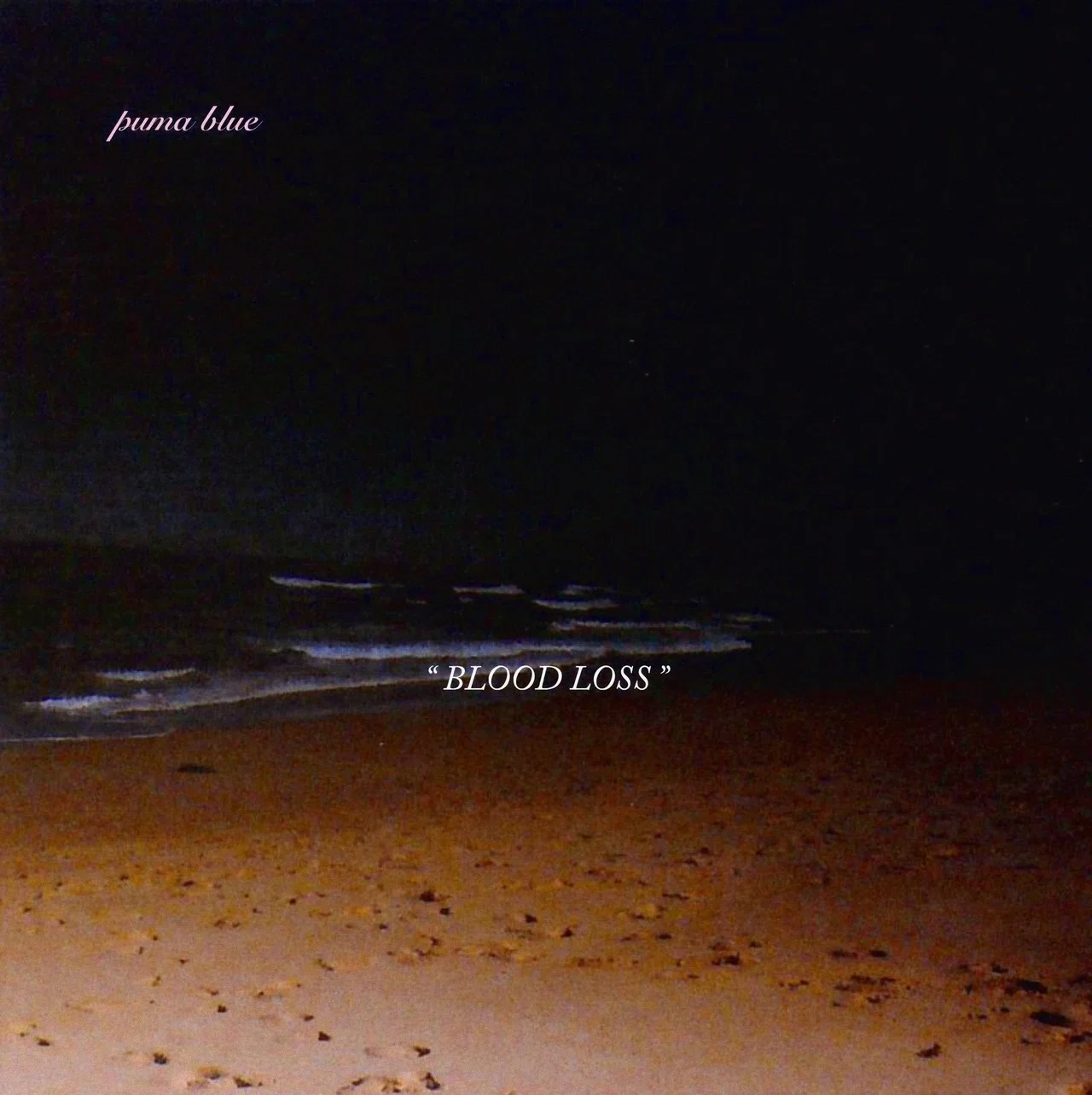 PUMA BLUE Blood Loss 限定12インチ アナログ盤 LP EP Puma Blue「Blood Loss」｜近藤 真弥