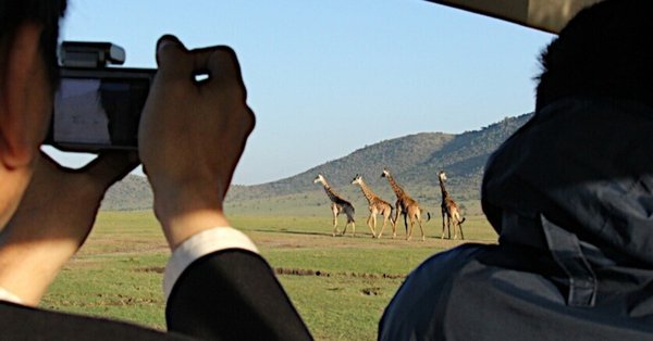 まるまるサファリの本 ver.3 まるまるサファリの本』＊編集の裏ばなし - ケニア旅行｜武田