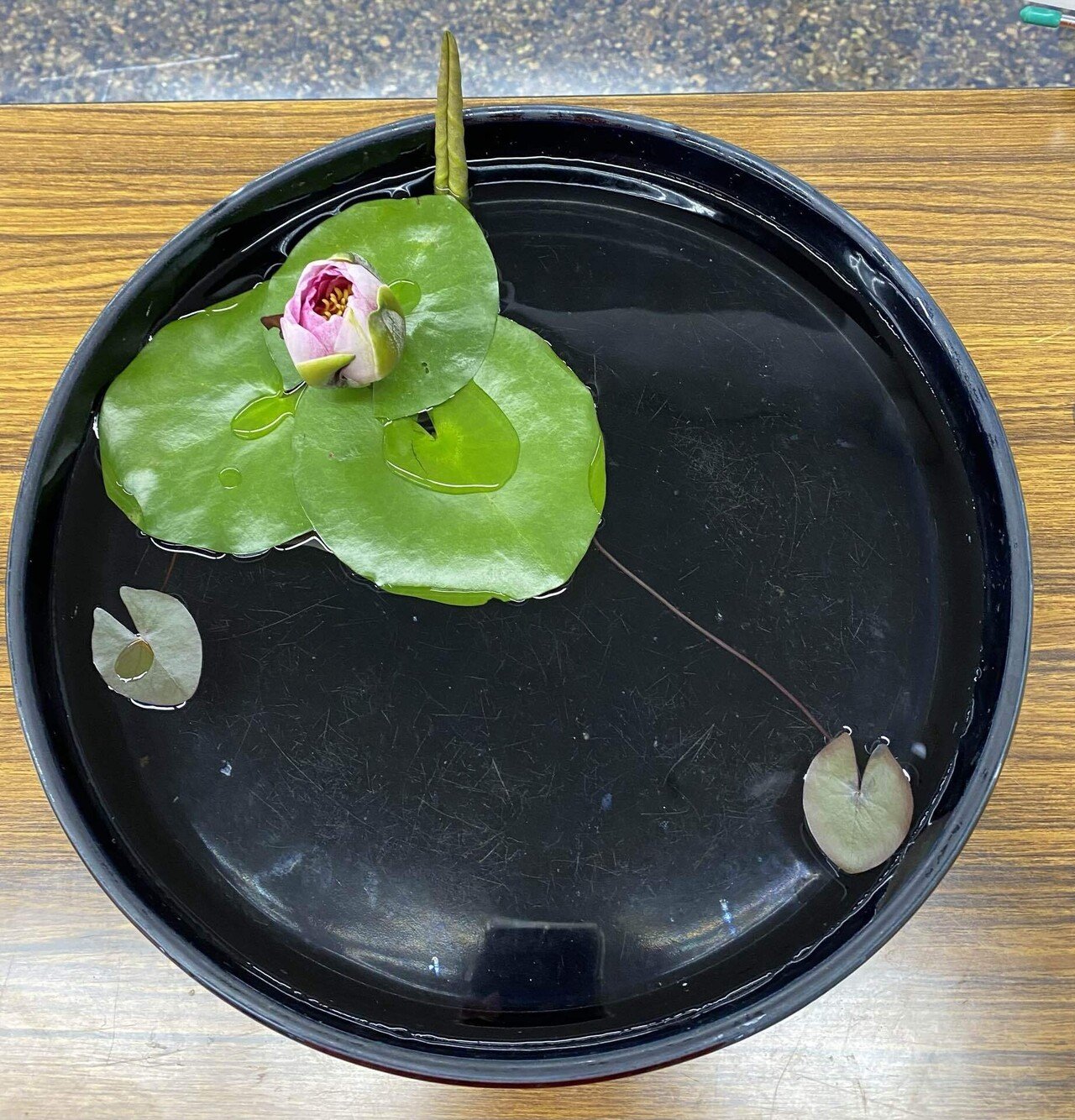 定本 小原流様式集成　第二分冊 写景挿花・夏 秋 新版 小原流 様式集成 本 小原規容子 生け花 写景盛花 色彩盛花