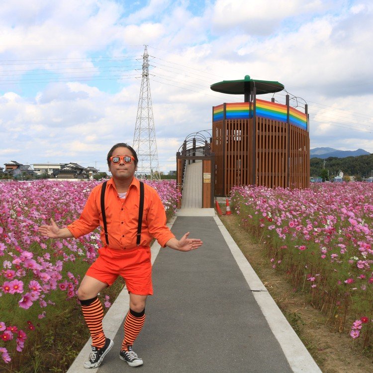 今回は、おおとう桜街道花公園です。
福岡県田川郡大任町にある公園です。
「レインボー展望台」があり、見晴らしの良いテラスで満開のコスモスを楽しむことができます。