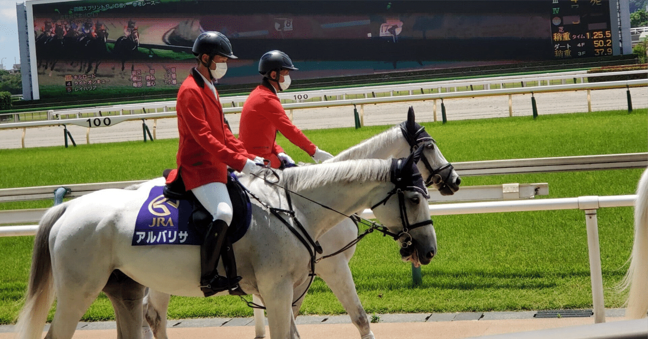 125.ゴールドシップ①〜僕が一番好きな競走馬を紹介します