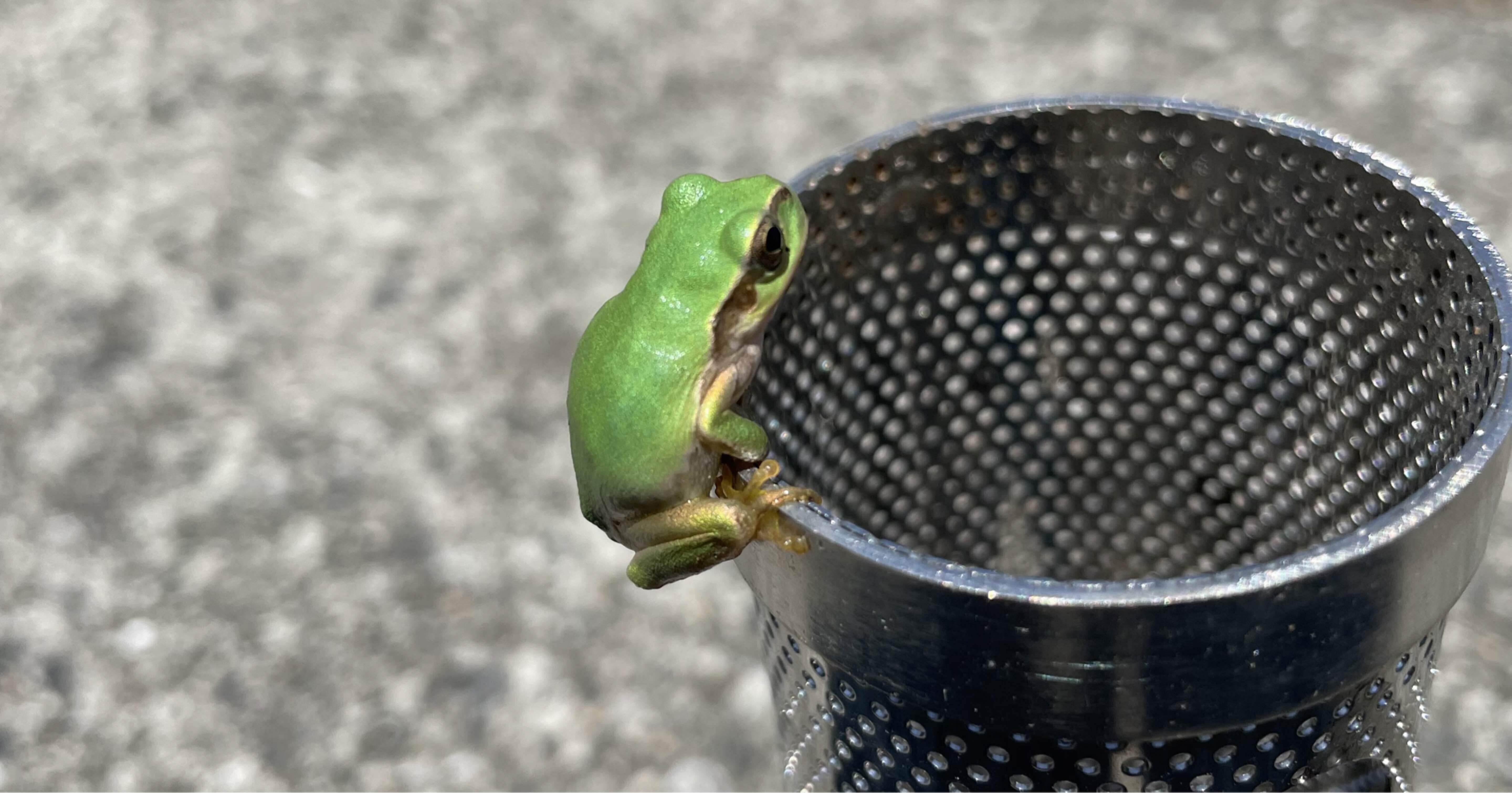 14b9b0bfde2fee324a85eb455011a5