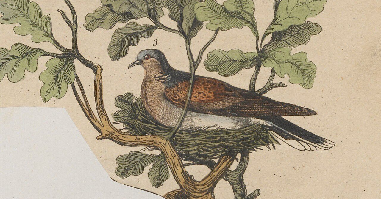 ジャック・デュフリ前編（鍵盤楽器音楽の歴史、第144回）｜影踏丸