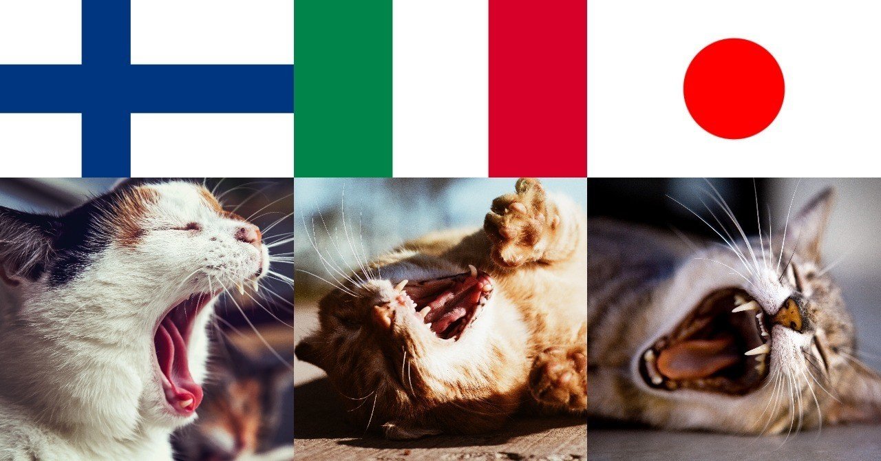 フィンランド人は飼いネコで イタリア人が野良ネコなら 日本人は ペットショップのネコ だという話 Noinoi Note