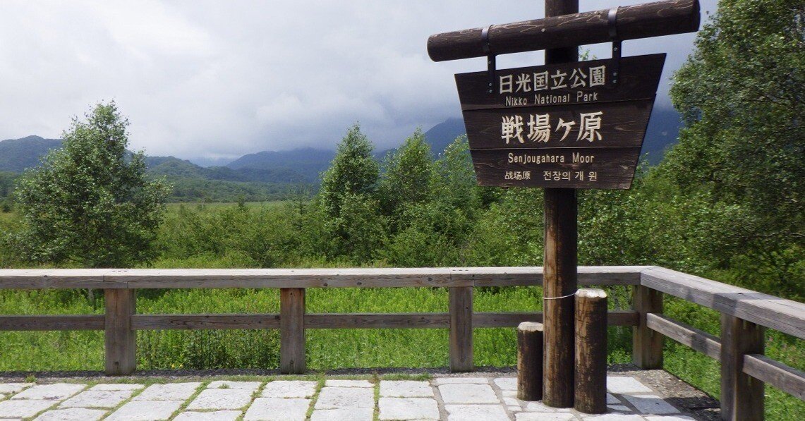 ぐるっと一周！ 小田代ヶ原・戦場ヶ原ハイキング｜葛飾区立日光林間学園