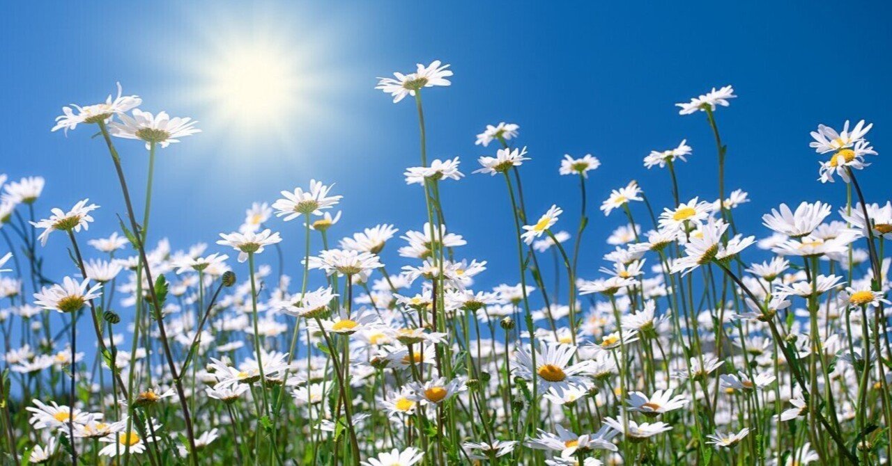 忍耐についての聖書の言葉｜バイブルライン, image size:1280x670