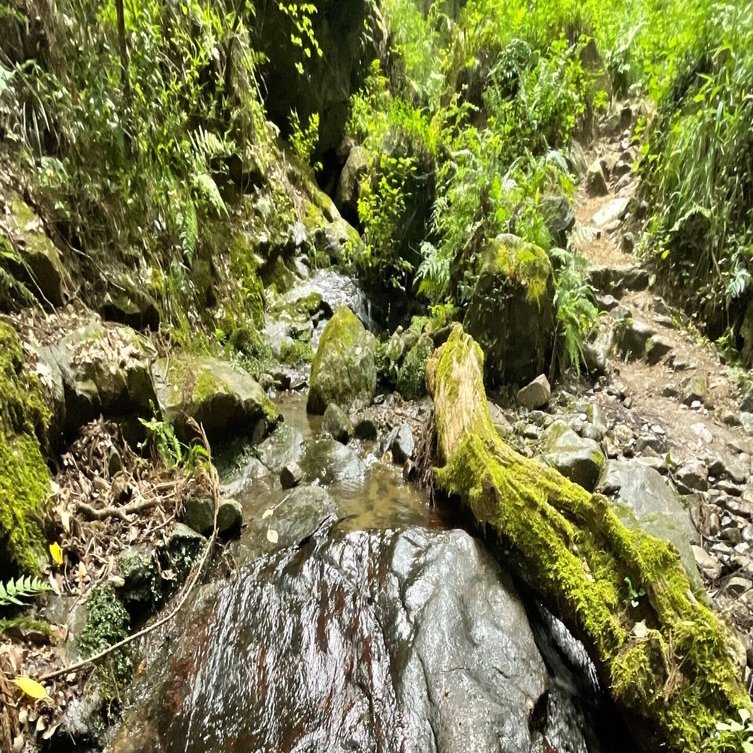 沢伝いに登る宝篋山(小田山)ハイキング〜茨城県つくば市〜｜かわかわ